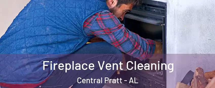 Fireplace Vent Cleaning Central Pratt - AL