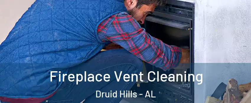 Fireplace Vent Cleaning Druid Hills - AL