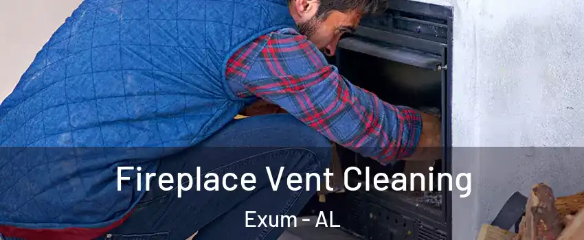 Fireplace Vent Cleaning Exum - AL
