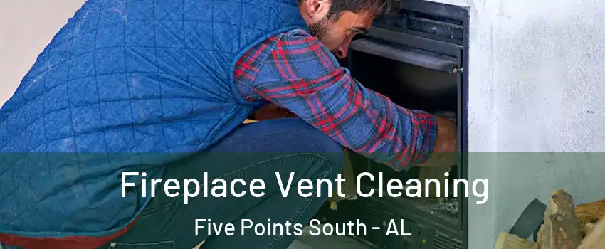 Fireplace Vent Cleaning Five Points South - AL