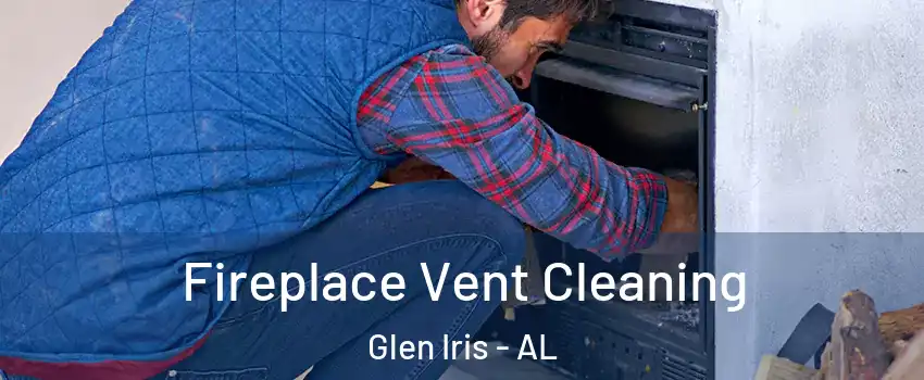 Fireplace Vent Cleaning Glen Iris - AL
