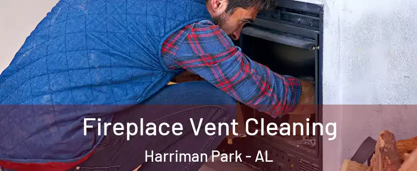 Fireplace Vent Cleaning Harriman Park - AL