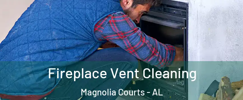 Fireplace Vent Cleaning Magnolia Courts - AL
