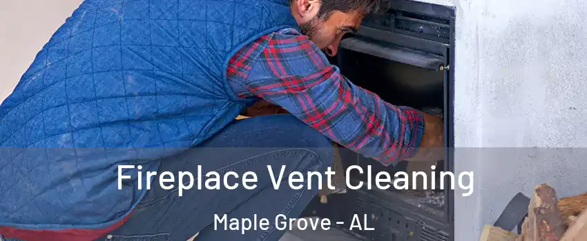 Fireplace Vent Cleaning Maple Grove - AL
