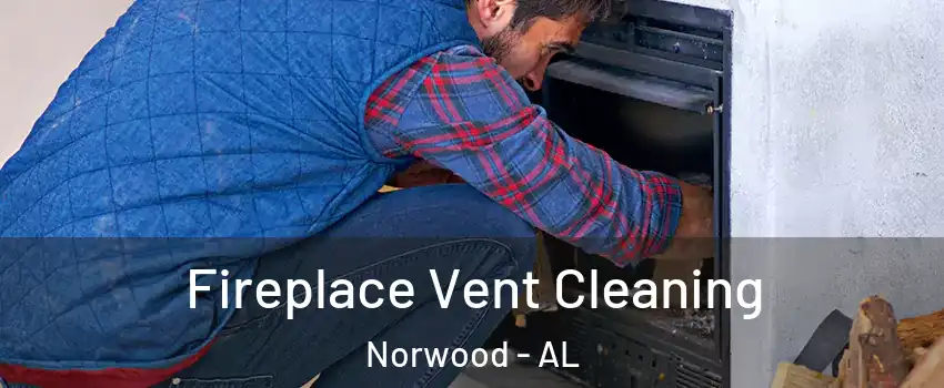 Fireplace Vent Cleaning Norwood - AL