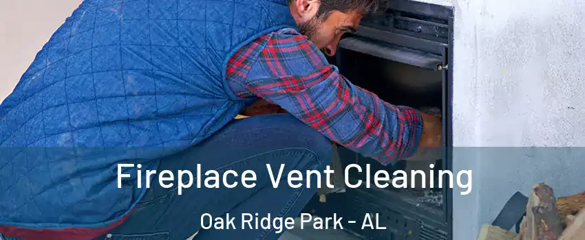 Fireplace Vent Cleaning Oak Ridge Park - AL