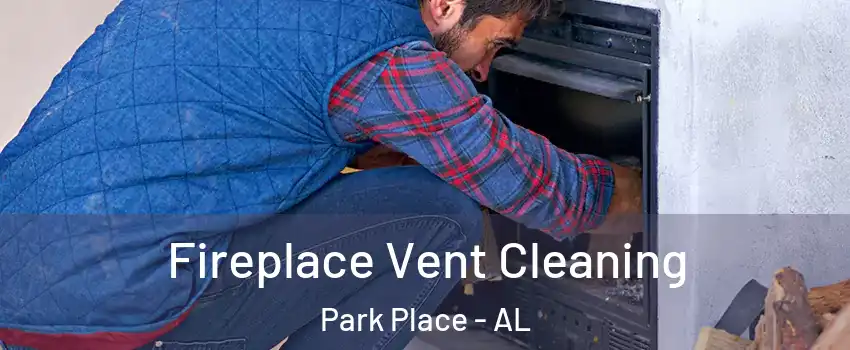 Fireplace Vent Cleaning Park Place - AL
