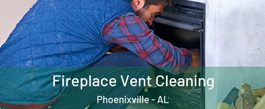 Fireplace Vent Cleaning Phoenixville - AL