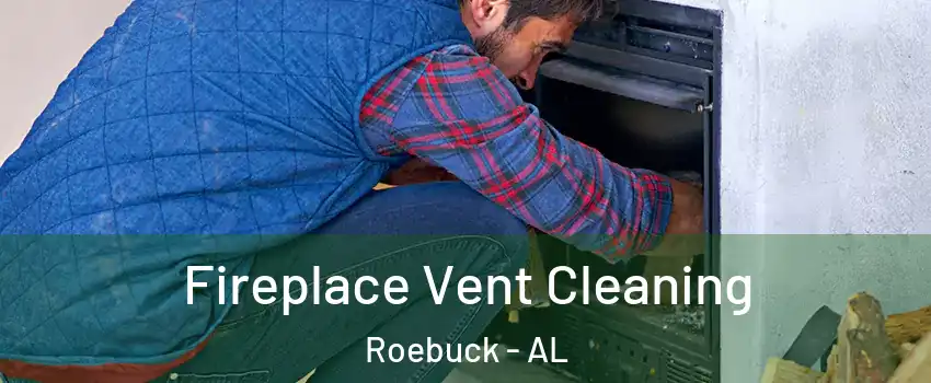 Fireplace Vent Cleaning Roebuck - AL