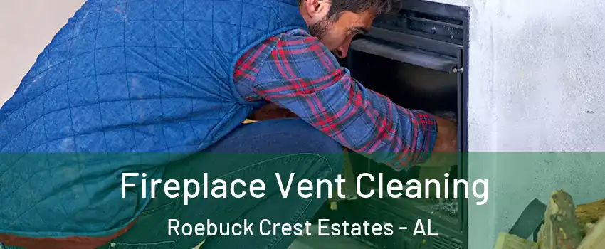 Fireplace Vent Cleaning Roebuck Crest Estates - AL