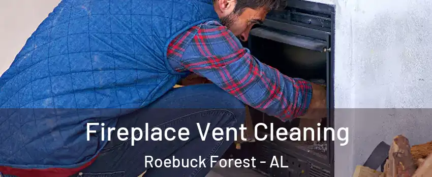 Fireplace Vent Cleaning Roebuck Forest - AL