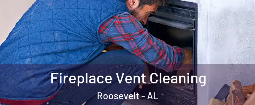 Fireplace Vent Cleaning Roosevelt - AL