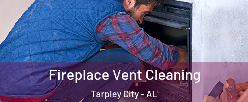 Fireplace Vent Cleaning Tarpley City - AL