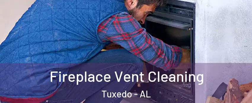 Fireplace Vent Cleaning Tuxedo - AL