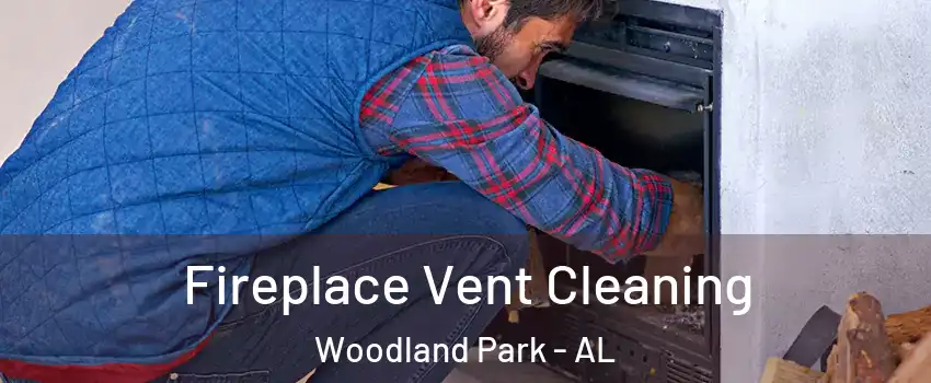 Fireplace Vent Cleaning Woodland Park - AL