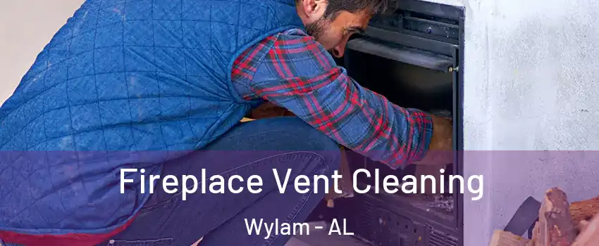 Fireplace Vent Cleaning Wylam - AL