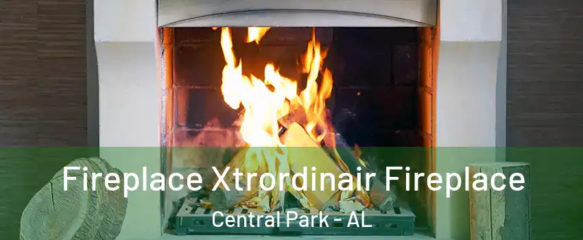 Fireplace Xtrordinair Fireplace Central Park - AL