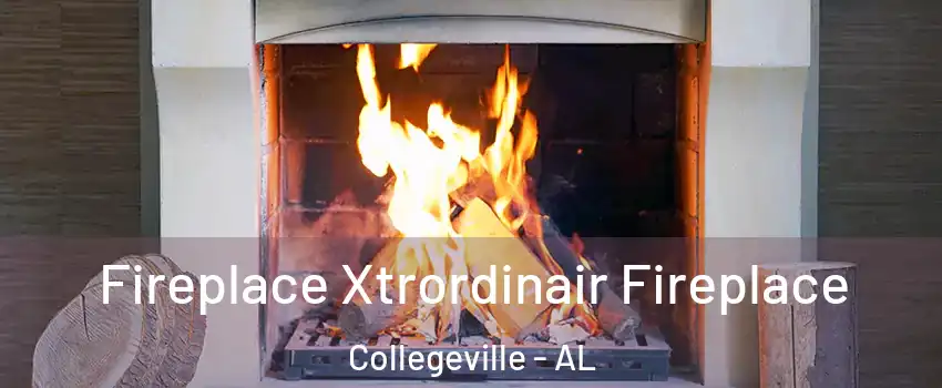 Fireplace Xtrordinair Fireplace Collegeville - AL