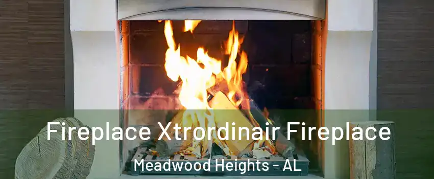 Fireplace Xtrordinair Fireplace Meadwood Heights - AL