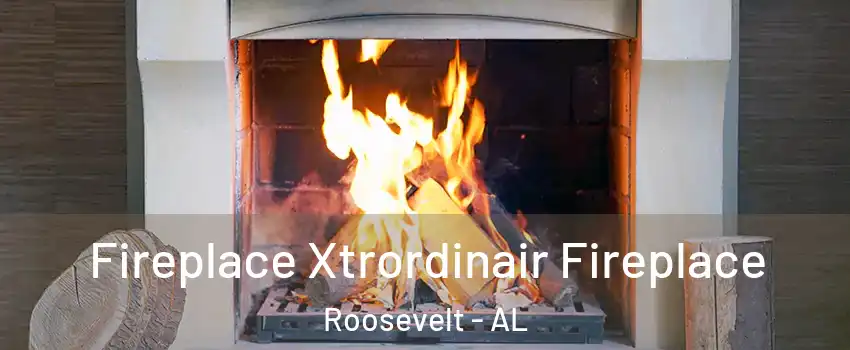 Fireplace Xtrordinair Fireplace Roosevelt - AL