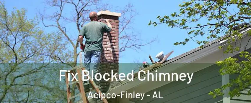 Fix Blocked Chimney Acipco-Finley - AL