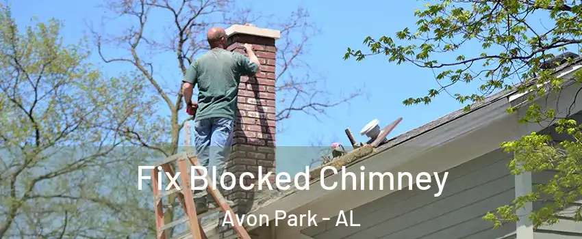 Fix Blocked Chimney Avon Park - AL