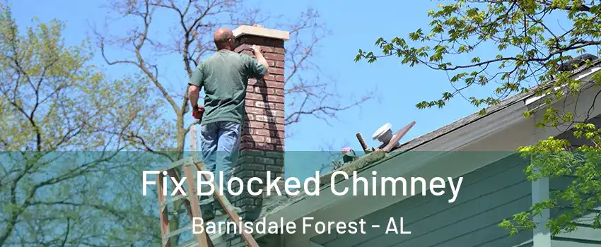 Fix Blocked Chimney Barnisdale Forest - AL