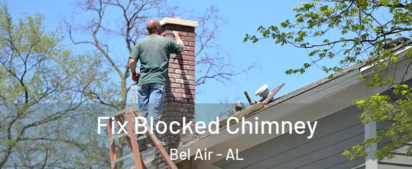 Fix Blocked Chimney Bel Air - AL