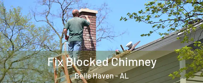 Fix Blocked Chimney Belle Haven - AL