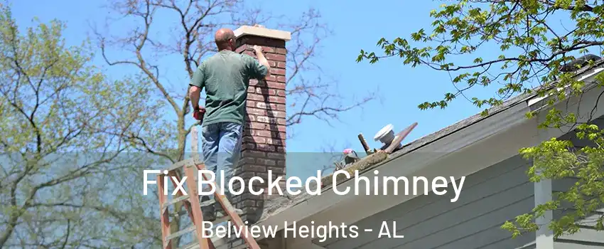 Fix Blocked Chimney Belview Heights - AL