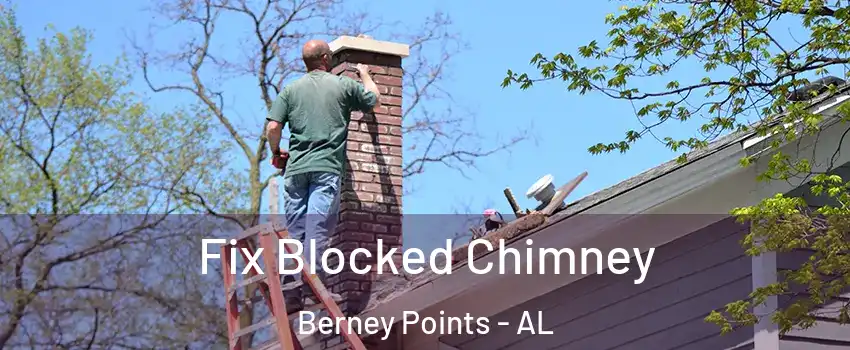 Fix Blocked Chimney Berney Points - AL