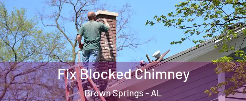 Fix Blocked Chimney Brown Springs - AL
