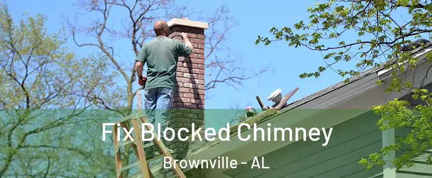 Fix Blocked Chimney Brownville - AL