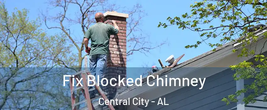 Fix Blocked Chimney Central City - AL