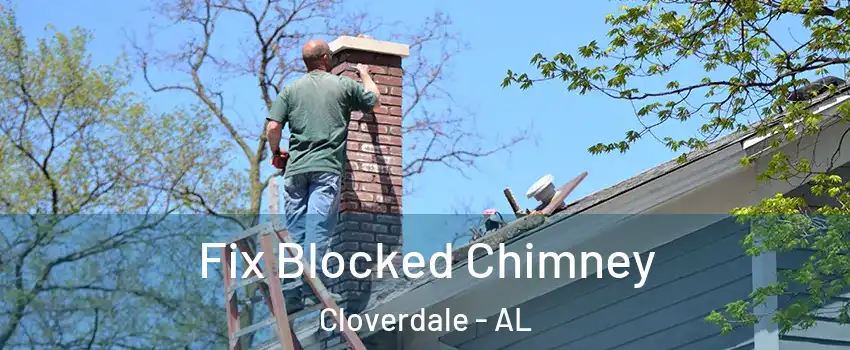 Fix Blocked Chimney Cloverdale - AL