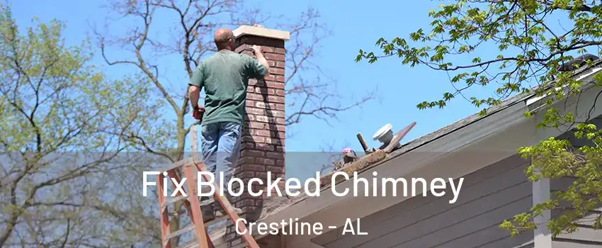 Fix Blocked Chimney Crestline - AL