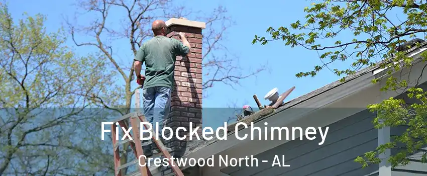 Fix Blocked Chimney Crestwood North - AL
