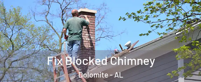 Fix Blocked Chimney Dolomite - AL