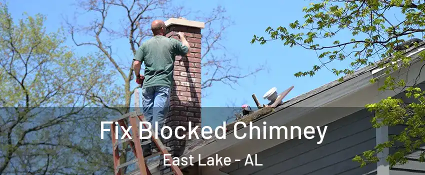 Fix Blocked Chimney East Lake - AL