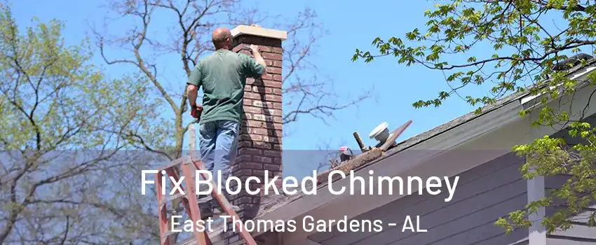 Fix Blocked Chimney East Thomas Gardens - AL
