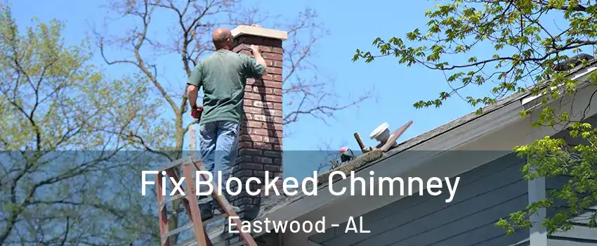 Fix Blocked Chimney Eastwood - AL