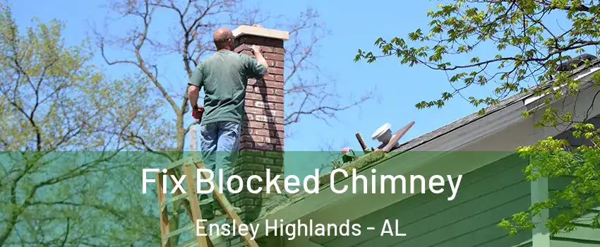 Fix Blocked Chimney Ensley Highlands - AL