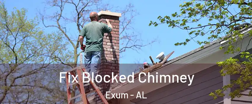 Fix Blocked Chimney Exum - AL