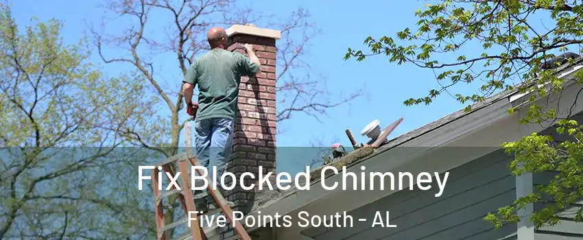 Fix Blocked Chimney Five Points South - AL