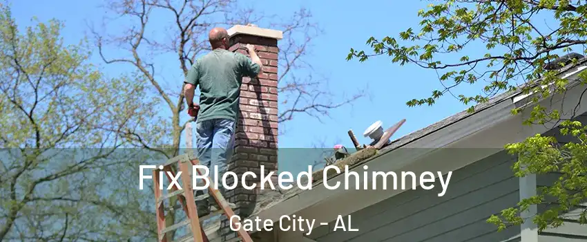 Fix Blocked Chimney Gate City - AL