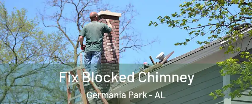 Fix Blocked Chimney Germania Park - AL