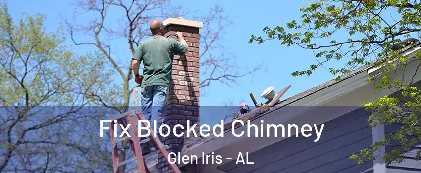 Fix Blocked Chimney Glen Iris - AL