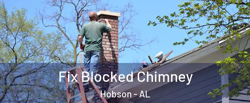 Fix Blocked Chimney Hobson - AL