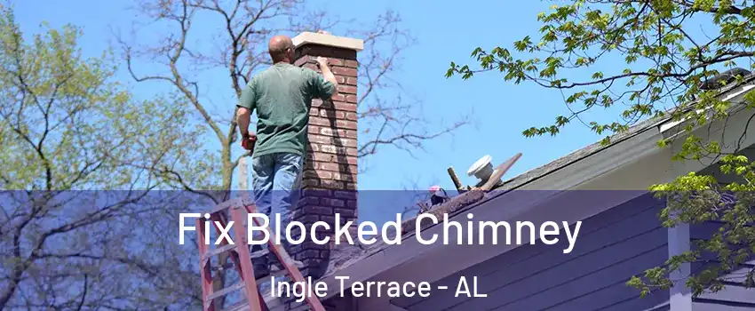 Fix Blocked Chimney Ingle Terrace - AL