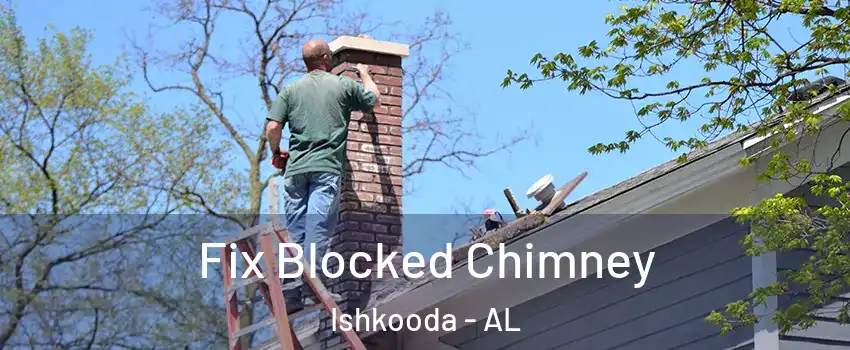 Fix Blocked Chimney Ishkooda - AL